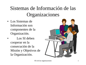 Sistemas de Información de las Organizaciones