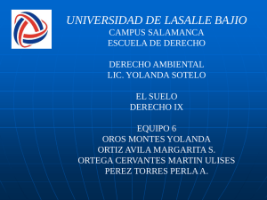 UNIVERSIDAD DE LASALLE BAJIO