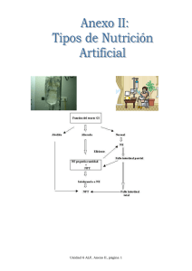 Tipos de nutrición artificial