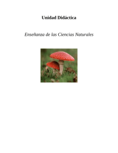 Unidad Didáctica de Ciencias Naturales