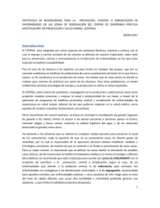 Protocolo del CEPIPSA - FMVZ-UNAM
