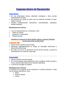 Esquema básico de Vacunación