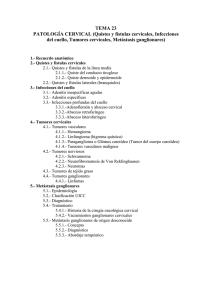 Tema 23: Patología Cervical (Quistes y fístulas cervicales