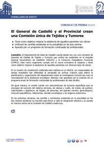 09-06-15 El General de Castelló y el Provincial crean una Comisión