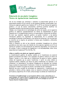 Edición Nº 18 Elaboración de una planta transgénica: Técnica de Agrobacterium tumefaciens.