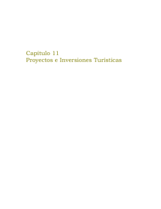 XI. Proyecto de inversiones Turísticas