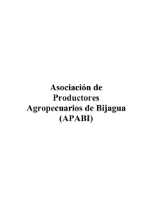 Plan de negocios APABI - Territorios Centroamericanos