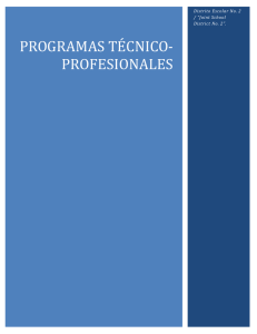 PROGRAMAS tÉCNICO-PROFESIONALES