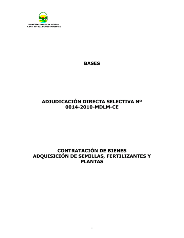 Bases Estándar De Adjudicación Directa Selectiva Para La