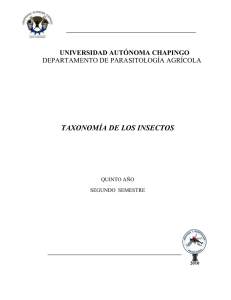 Taxonomía de los Insectos - Universidad Autónoma Chapingo