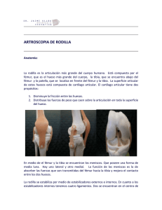 ARTROSCOPIA DE RODILLA Anatomía: La rodilla es la articulación