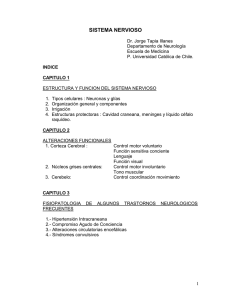 Sistema Nervioso: Estructura, Funci&oacute;n y Fisiopatolog&iacute;a