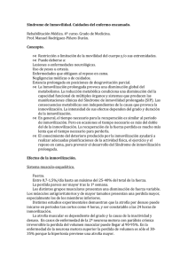 File - Grupo 4D