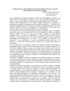Diagnostico de enfermedades en las explotaciones - FMVZ-UNAM