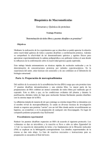 Bioqu&iacute;mica: Determinaci&oacute;n de Tioles y Puentes Disulfuro