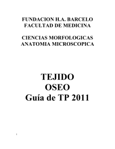 TEJIDO OSEO Guía de TP 2011 FUNDACION H.A. BARCELO