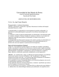Agresinas - Universidad Norbert Wiener