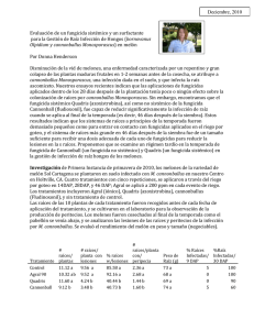 Deciembre, 2010 Evaluación de un fungicida sistémico y un surfactante bornovanus