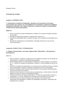 Programa Teórico  TEMARIO DE TEORÍA Capítulo I. INTRODUCCIÓN
