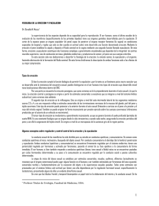 frenillo erección incompleta corta