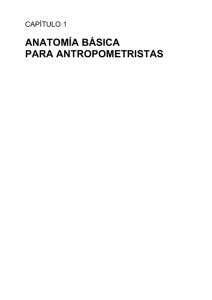 anatomía básica para antropometristas