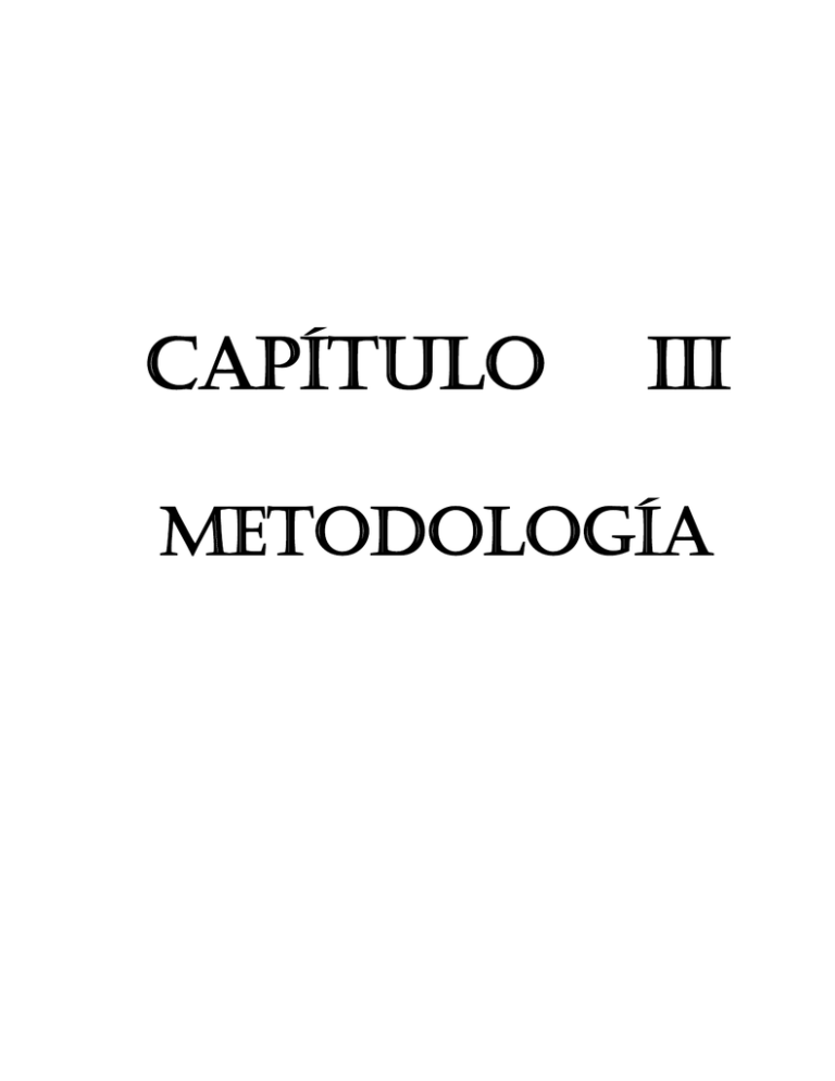 CAPÍTULO III METODOLOGÍA