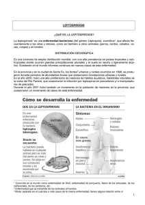 apunte leptospirosis