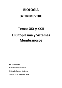 BIOLOGÍA 3º TRIMESTRE Temas XIX y XXII El Citoplasma y