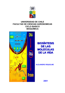 TRANSCRIPCION DEL ADN - Universidad de Chile