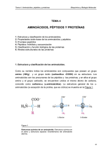 Tema_4_aminoacidos