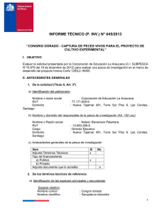 INFORME TÉCNICO (P. INV.) N° 045/2013  ”