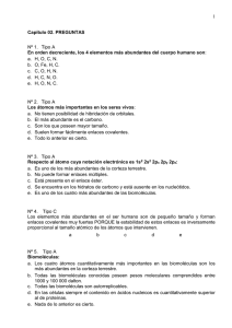 1 Nº 1.  Tipo A a.  H, O, C, N.