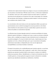 Introducci&oacute;n  La historia de los injertos data de tiempos muy antiguos...