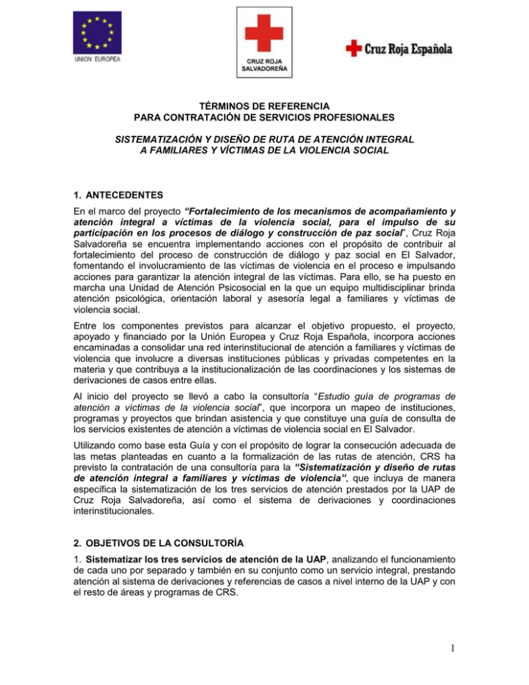 Tdr Consultoría Sistematización Rutas De Atención