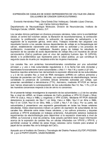 O-89-docu - Sociedad Mexicana de Ciencias Fisiológicas