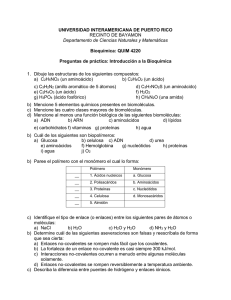 UNIVERSIDAD INTERAMERICANA DE PUERTO RICO Bioquímica: QUIM 4220