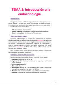 TEMA 1: Introducción a la endocrinología