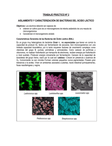 aislamiento y caracterización de bacterias del ácido láctico