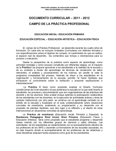CAMPO DE LA PRÁCTICA PROFESIONAL