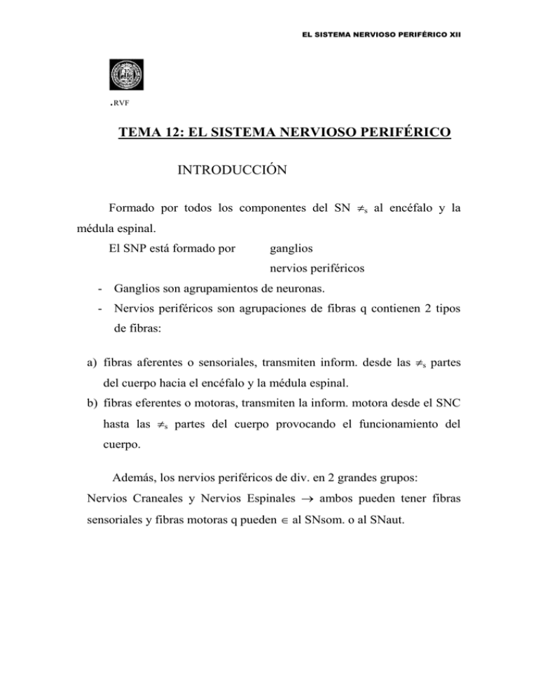 TEMA 12 EL SISTEMA NERVIOSO PERIF RICO INTRODUCCI N