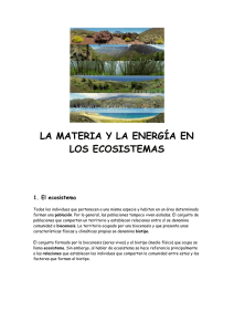 LA MATERIA Y LA ENERGÍA EN LOS ECOSISTEMAS (953344)