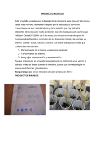 proyecto bichitos infantil