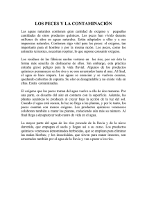 CHURRIANA VIRGEN DE LA CABEZA texto 4&ordm;