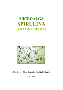 Microalga Spirulina (para compartir).