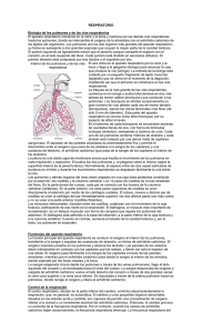 RESPIRATORIO  Biología de los pulmones y de las vías respiratorias