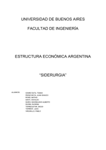 4) Ejemplos de Industrias Siderúrgicas Argentinas