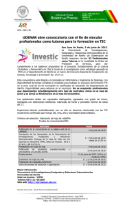 Boletin 199 Convocatoria VIPRI Investic