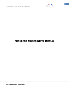 PROYECTO AULICO NIVEL INICIAL