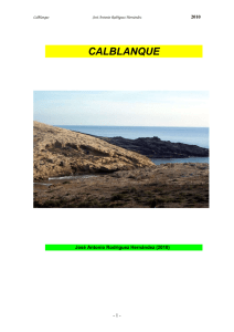 1– ALRREDEDORES DE CASAS DE TALLANTE (CARTAGENA)