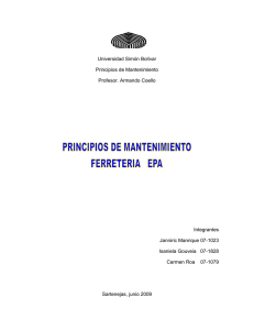 Empresa EPA. primer informe